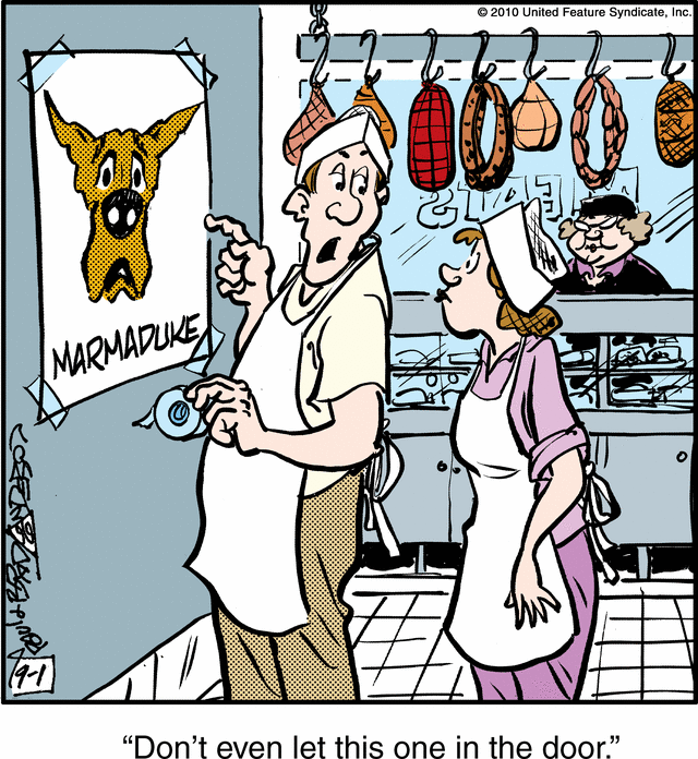 marmaduke